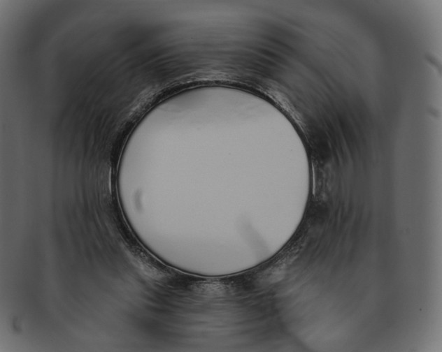 X0000091530253200709071047