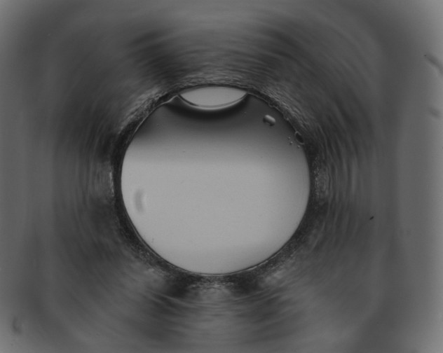 X0000091530254200709071047