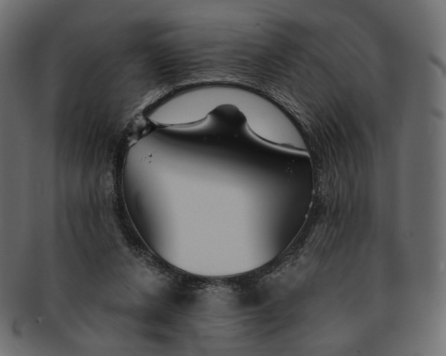 X0000091530256200709071047