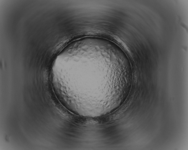 X0000091530257200709071048