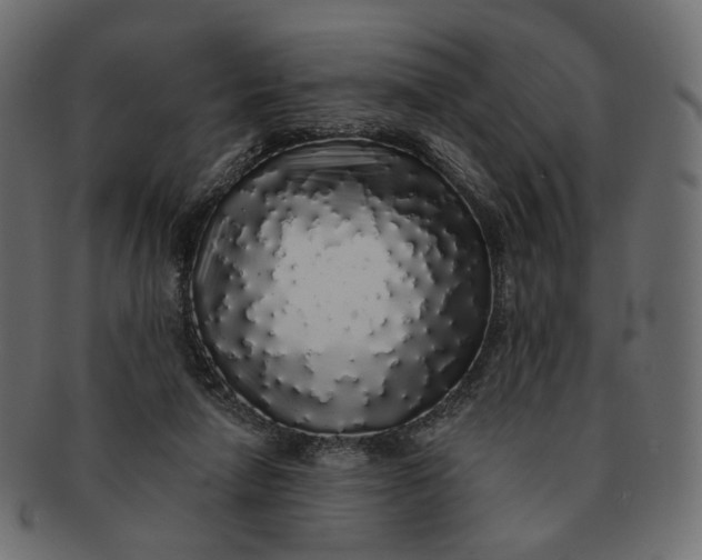 X0000091530258200709071048