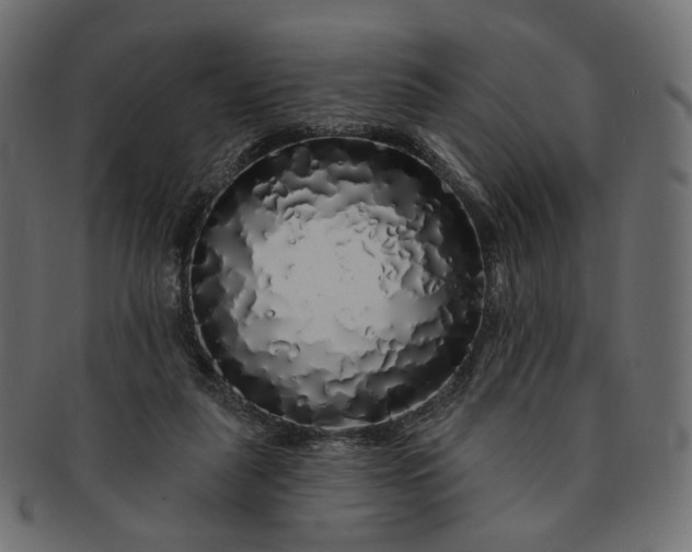 X0000091530259200709071048