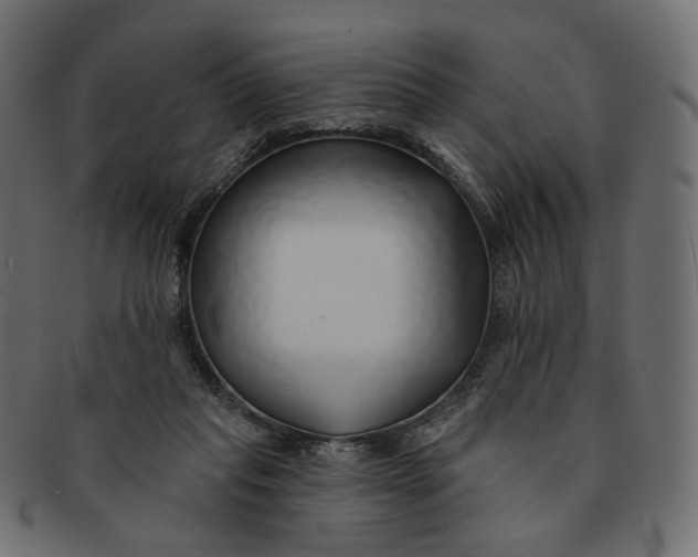 X0000091530261200709071048