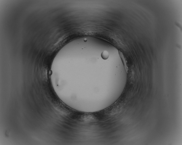 X0000091530262200709071048