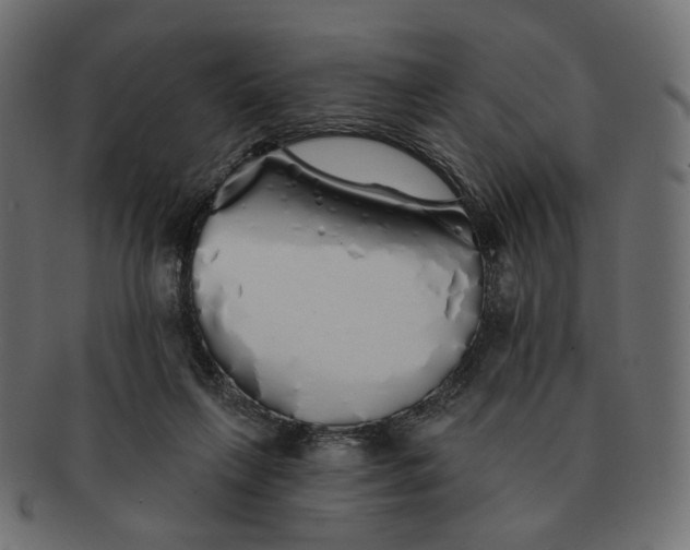 X0000091530263200709071048