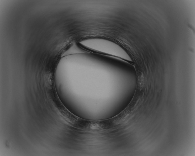 X0000091530264200709071048