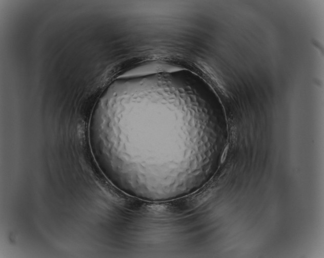 X0000091530265200709071048