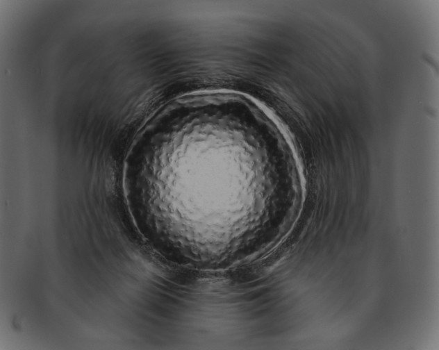 X0000091530266200709071048