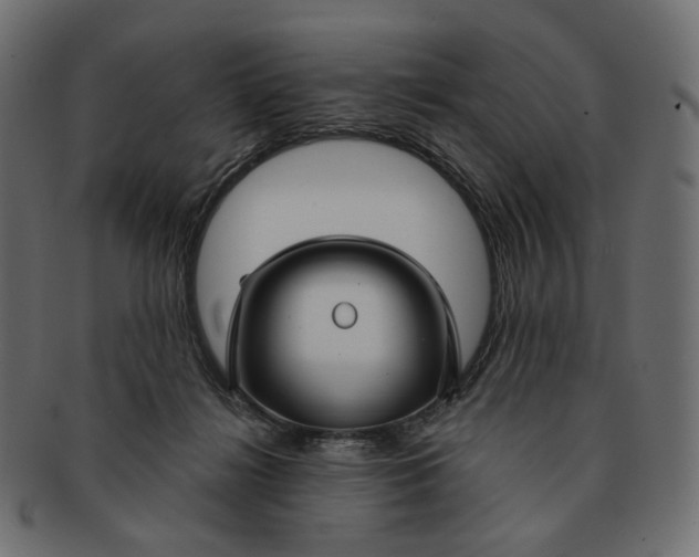 X0000091530268200709071048