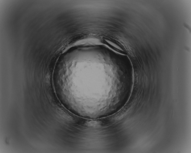 X0000091530269200709071048