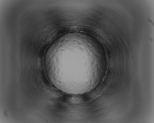 X0000091530270200709071048