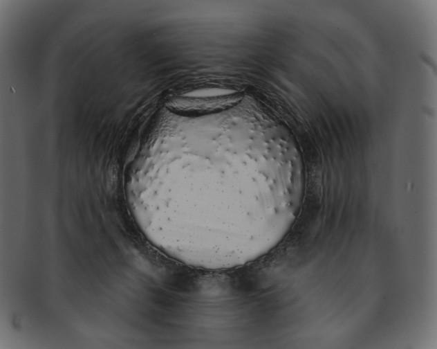 X0000091530271200709071048