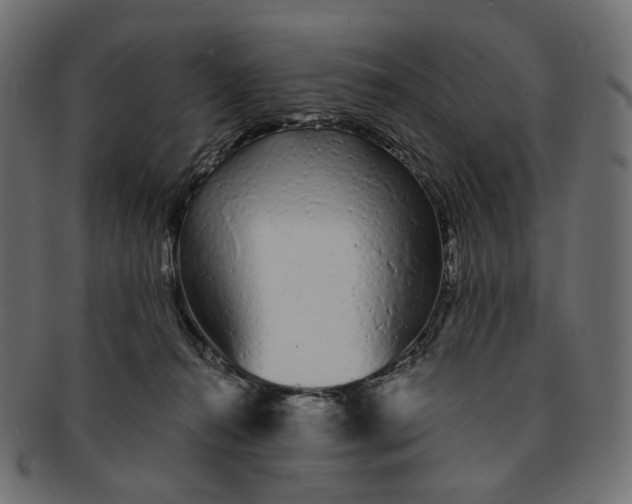 X0000091530272200709071048