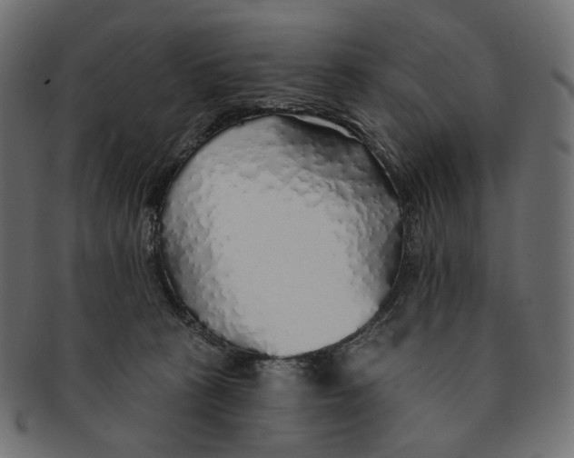 X0000091530273200709071048