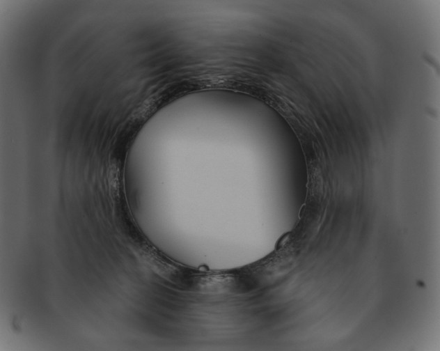 X0000091530274200709071048