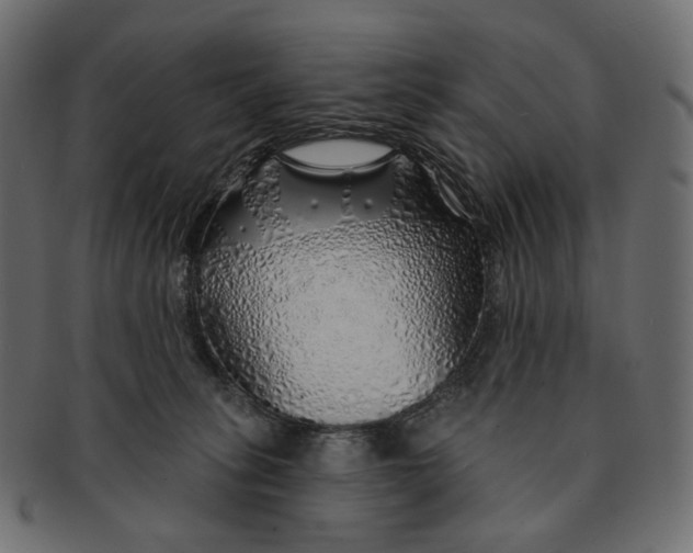 X0000091530275200709071048