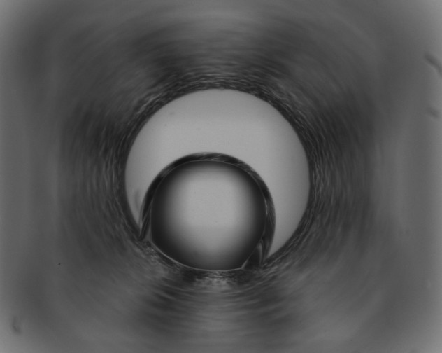 X0000091530276200709071048