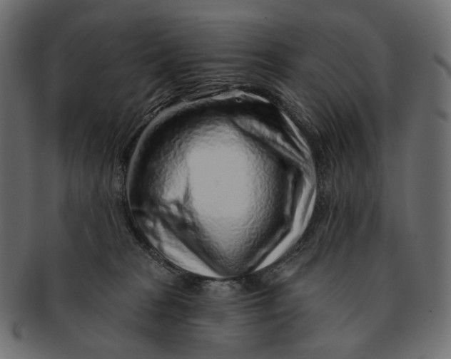 X0000091530277200709071048