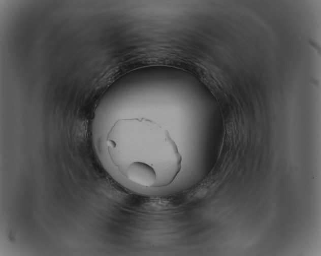 X0000091530278200709071048