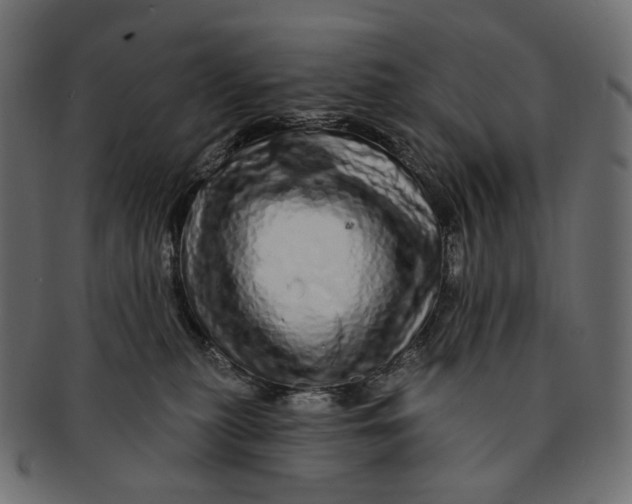 X0000091530279200709071048
