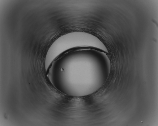 X0000091530280200709071048