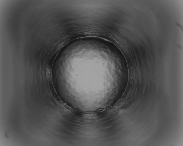 X0000091530281200709071048