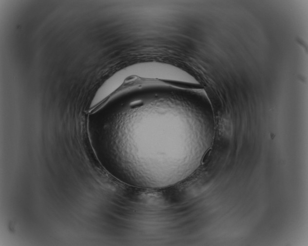 X0000091530283200709071048