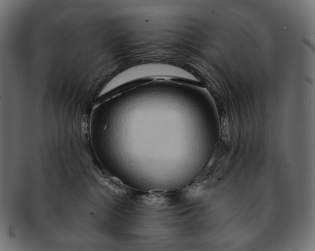 X0000091530284200709071048