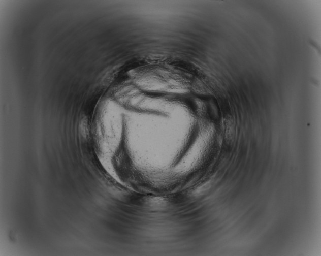 X0000091530287200709071048