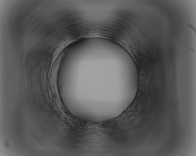 X0000091530289200709071047