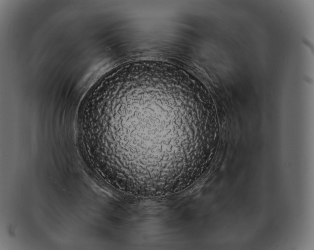 X0000091530290200709071047