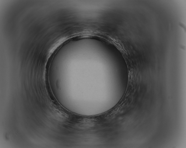 X0000091530292200709071047