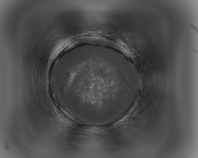 X0000091530293200709071047