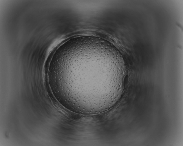 X0000091530294200709071047