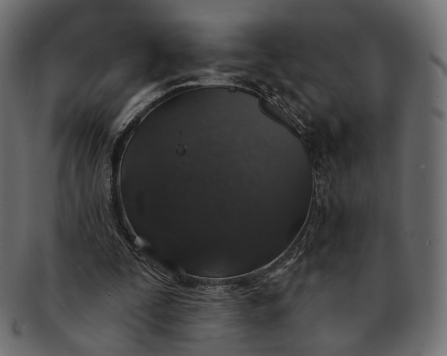 X0000091530295200709071047