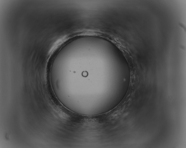 X0000091530296200709071047