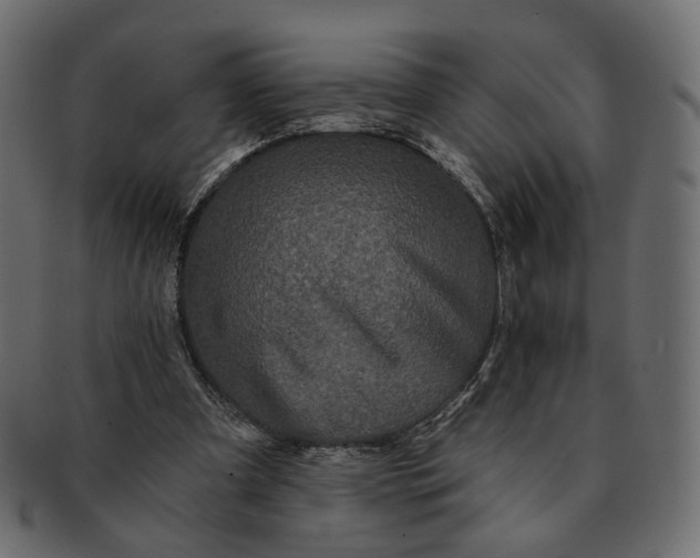X0000091530297200709071047