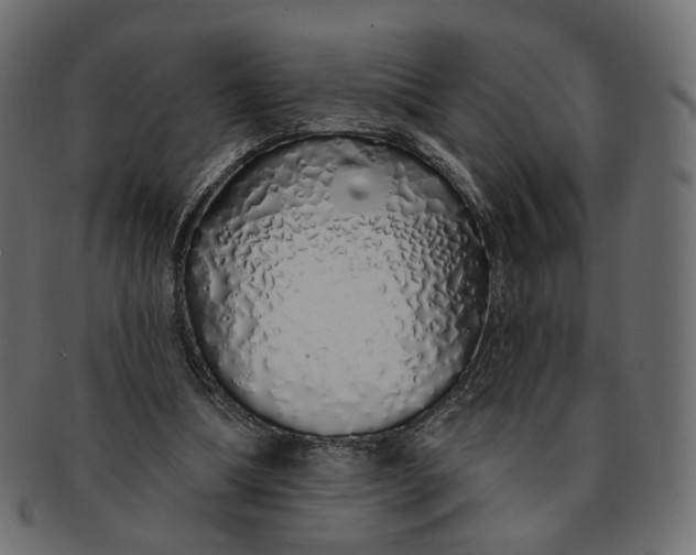 X0000091530298200709071047