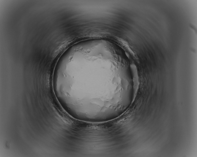X0000091530299200709071047