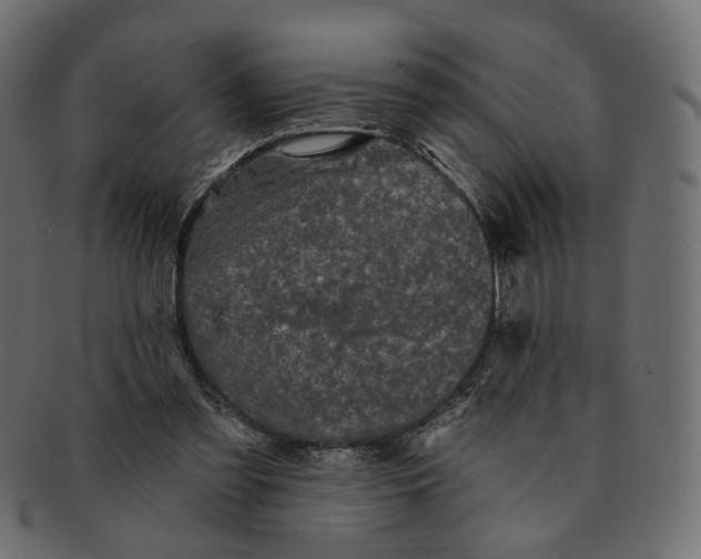 X0000091530301200709071047