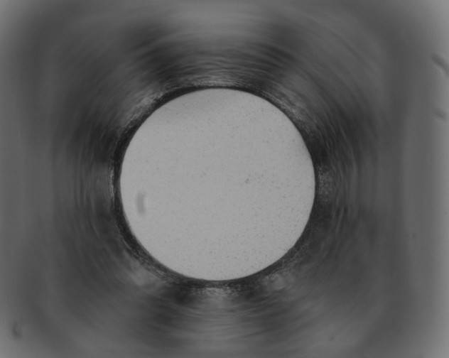 X0000091530302200709071047