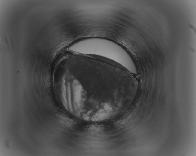 X0000091530303200709071047