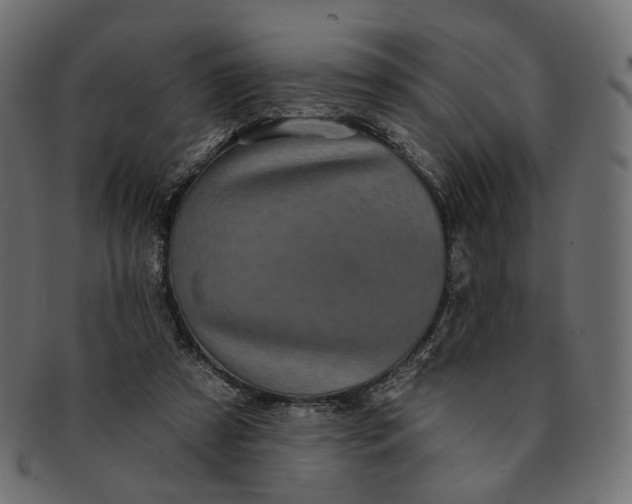 X0000091530305200709071047