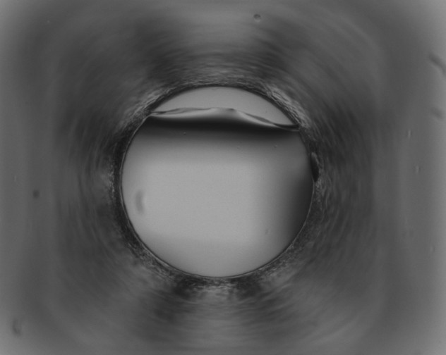 X0000091530306200709071047