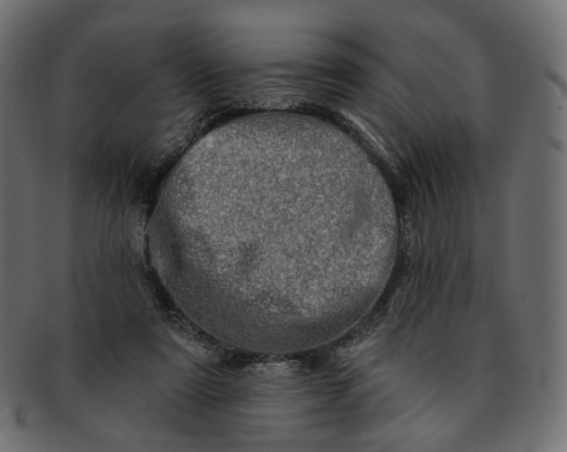 X0000091530307200709071047