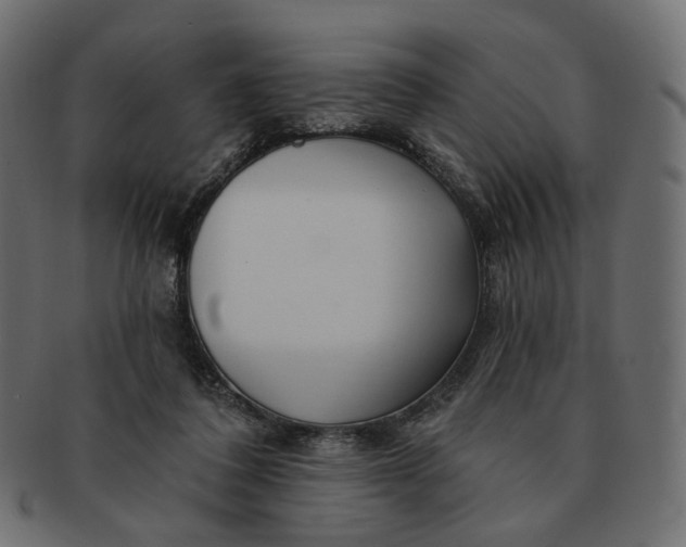 X0000091530308200709071047