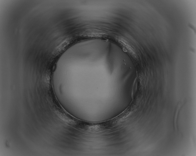 X0000091530309200709071047