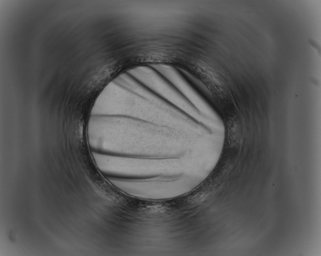 X0000091530310200709071047
