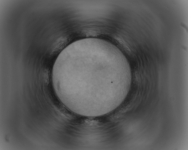 X0000091530311200709071047