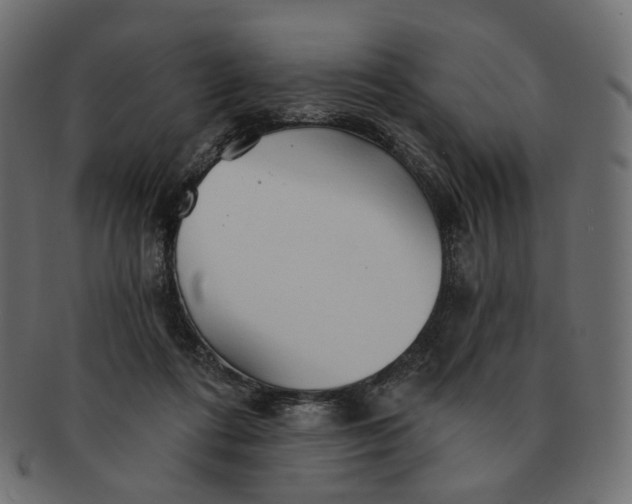 X0000091530312200709071047